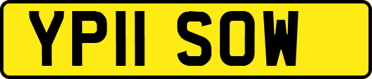 YP11SOW