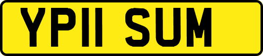 YP11SUM