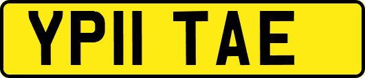 YP11TAE
