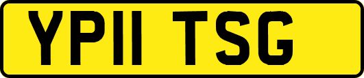 YP11TSG