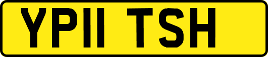 YP11TSH