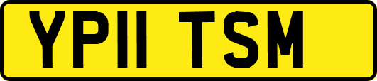 YP11TSM