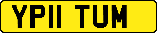 YP11TUM