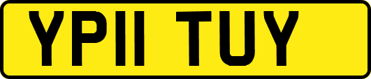 YP11TUY