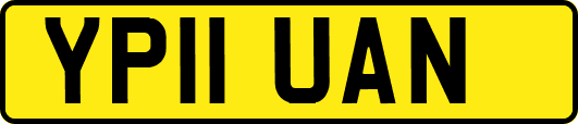 YP11UAN