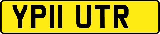 YP11UTR