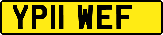 YP11WEF