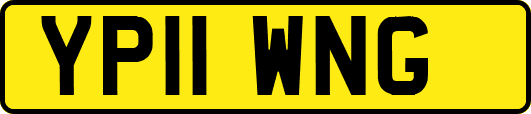 YP11WNG