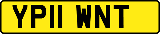 YP11WNT