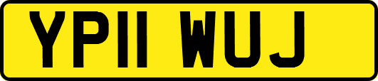 YP11WUJ
