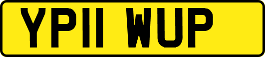 YP11WUP