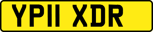 YP11XDR