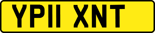 YP11XNT