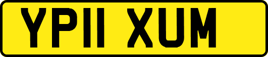 YP11XUM