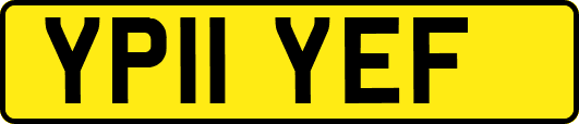 YP11YEF