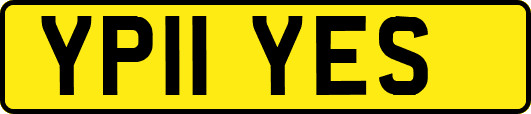YP11YES