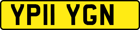 YP11YGN