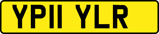 YP11YLR