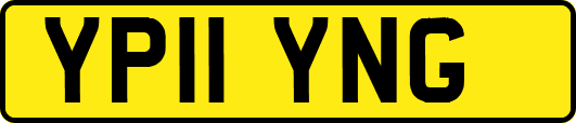 YP11YNG