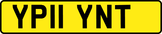 YP11YNT