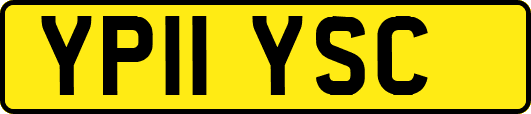 YP11YSC