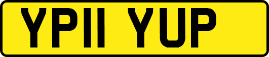 YP11YUP