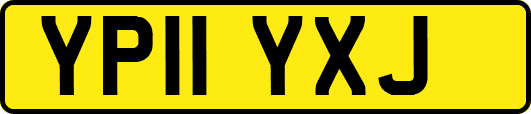 YP11YXJ