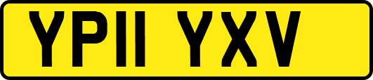 YP11YXV
