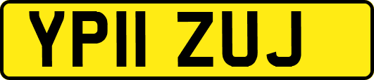 YP11ZUJ