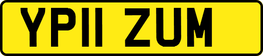 YP11ZUM
