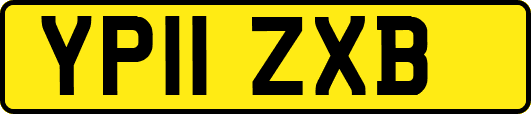 YP11ZXB