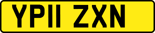 YP11ZXN