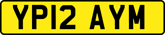 YP12AYM