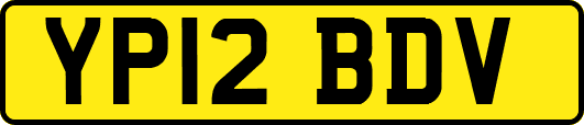YP12BDV