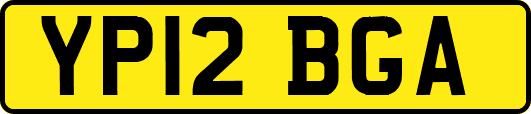 YP12BGA