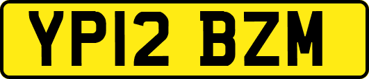 YP12BZM