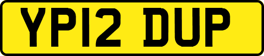 YP12DUP
