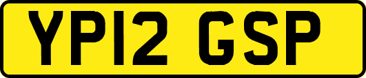 YP12GSP