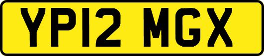 YP12MGX