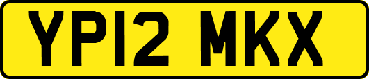 YP12MKX