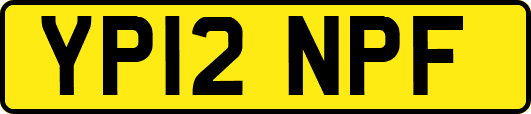 YP12NPF