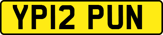 YP12PUN