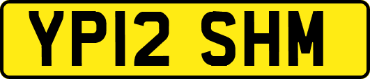 YP12SHM