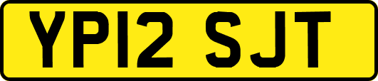 YP12SJT