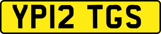 YP12TGS