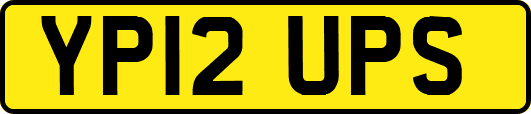 YP12UPS