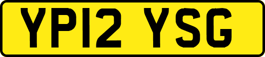 YP12YSG