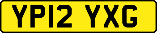 YP12YXG