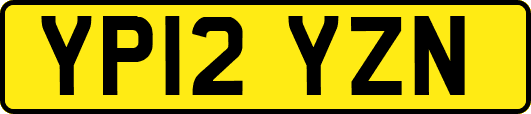 YP12YZN