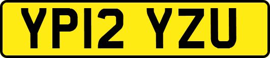 YP12YZU